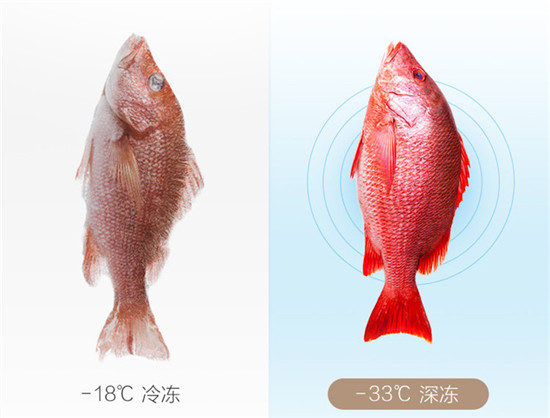 晶弘冰箱425升的直冷每天耗四度电,格力晶弘冰箱bcd-458wpqg2