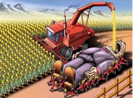 原油杀猪盘最新案例,期货原油杀猪盘现场