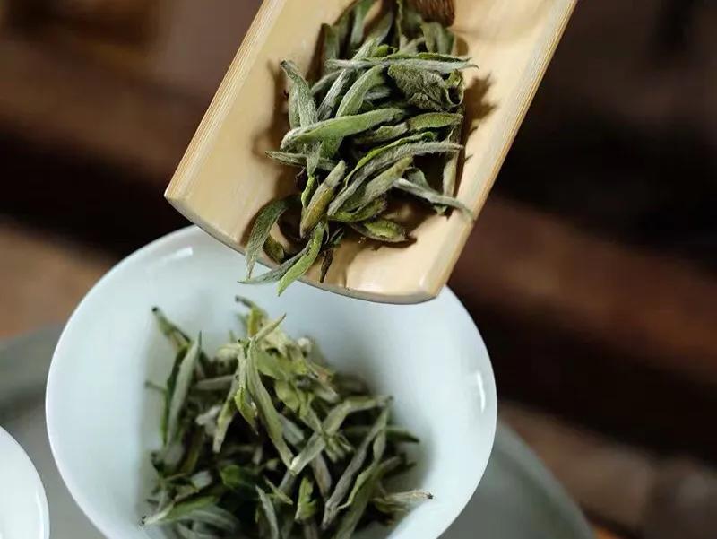 白毫银针原生态白茶,白茶白毫银针价格表大全