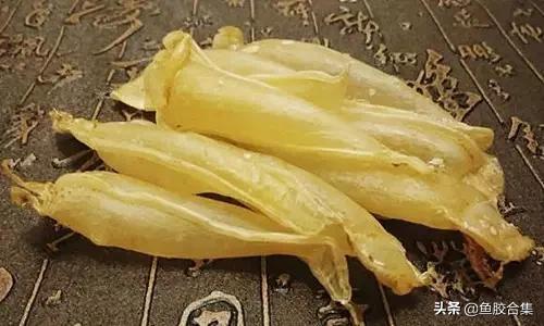 花胶的种类和区别,花胶一共有几种类型的品种