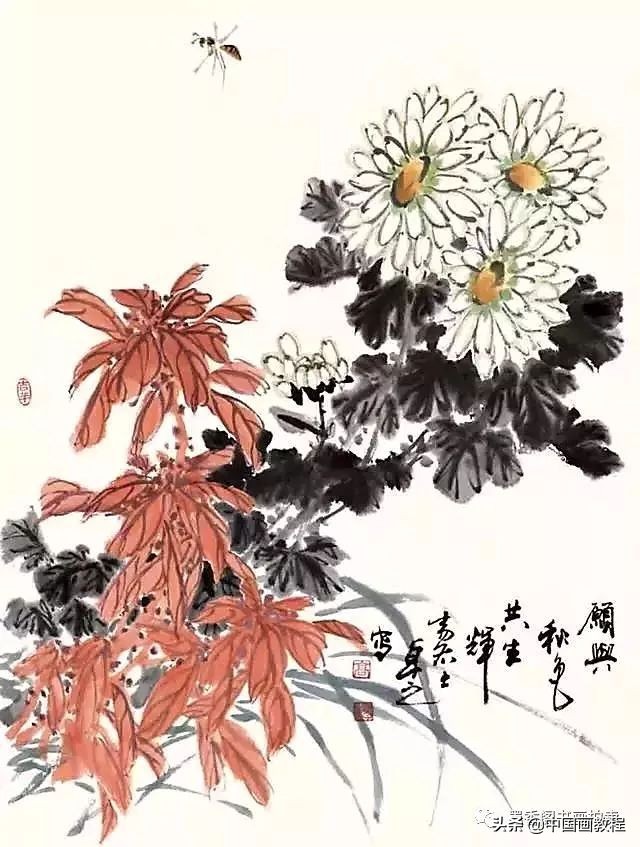菊花花头花苞画法,菊花花头的画法步骤图片
