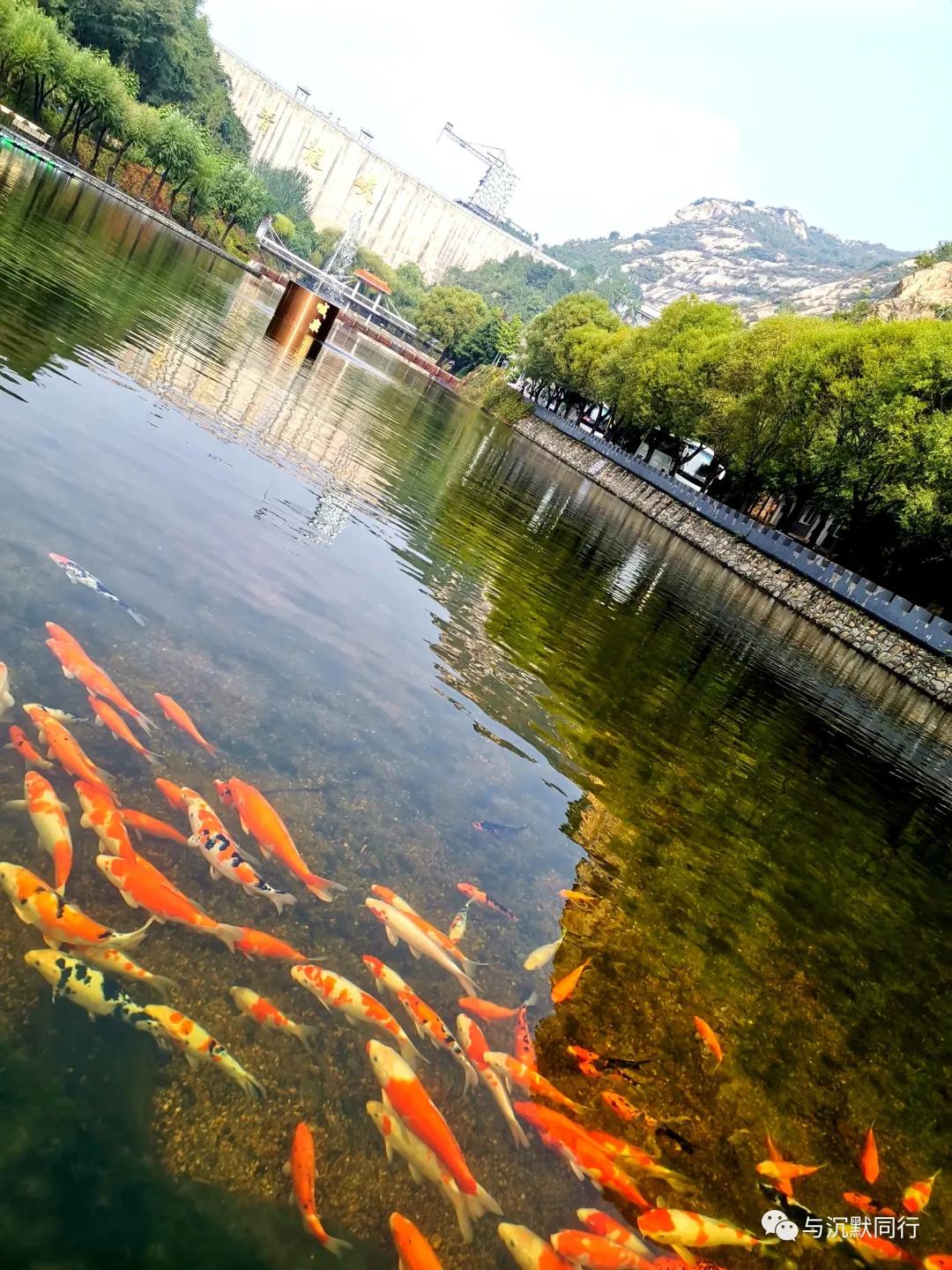 青龙峡漂流门票价格,青龙峡安宁