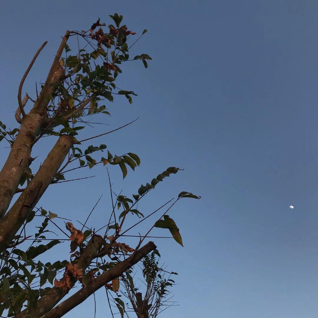 微信圈背景图小众,微信小众朋友圈背景