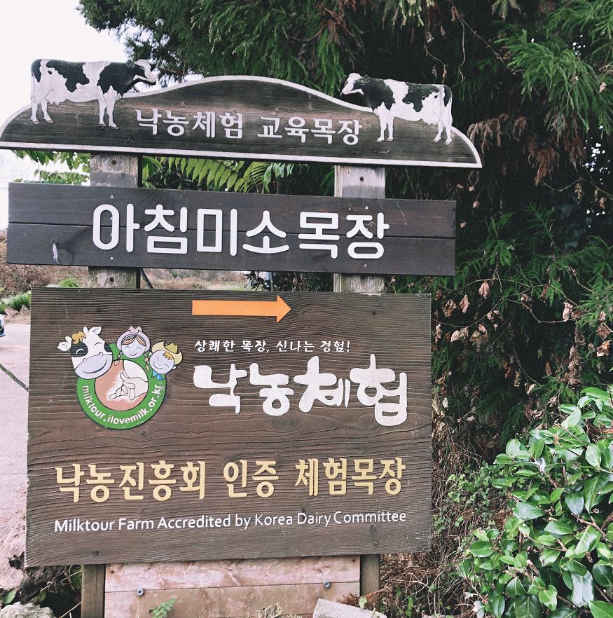 西安直飞1h,西安出发三日游冬季高铁