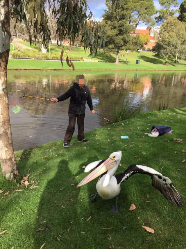 在澳洲的生活是一种怎样的体验：这边的人很懒，非常喜欢钓鱼