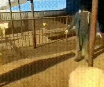 当一个男孩感到恐惧,当一个孩子对另一个孩子产生恐惧