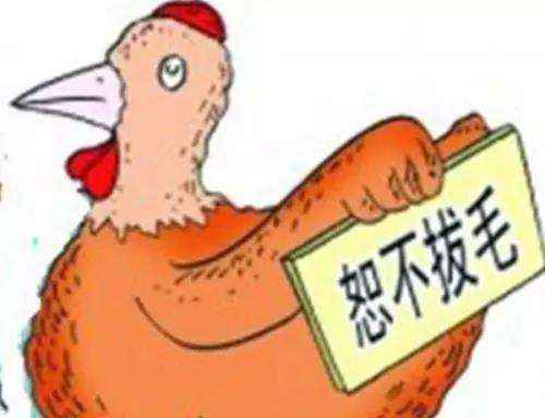 “一毛不拔”的先秦诸圣——杨子