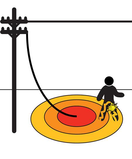 550只羊被雷劈死后续,550只羊被雷劈死原因