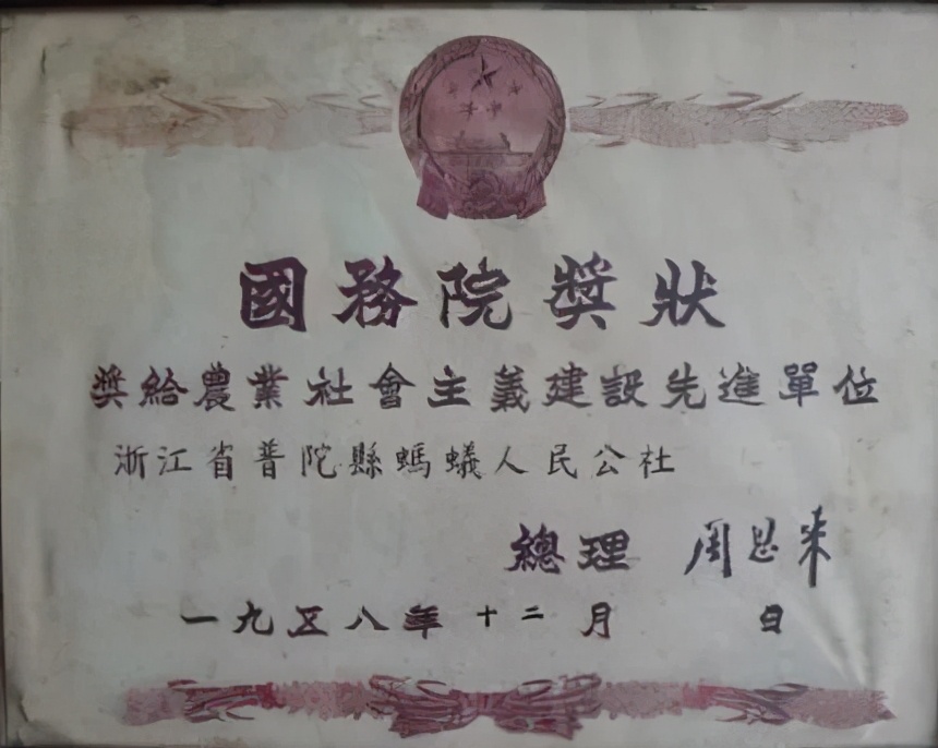 今日头条农村支部书记,浙江党支部书记