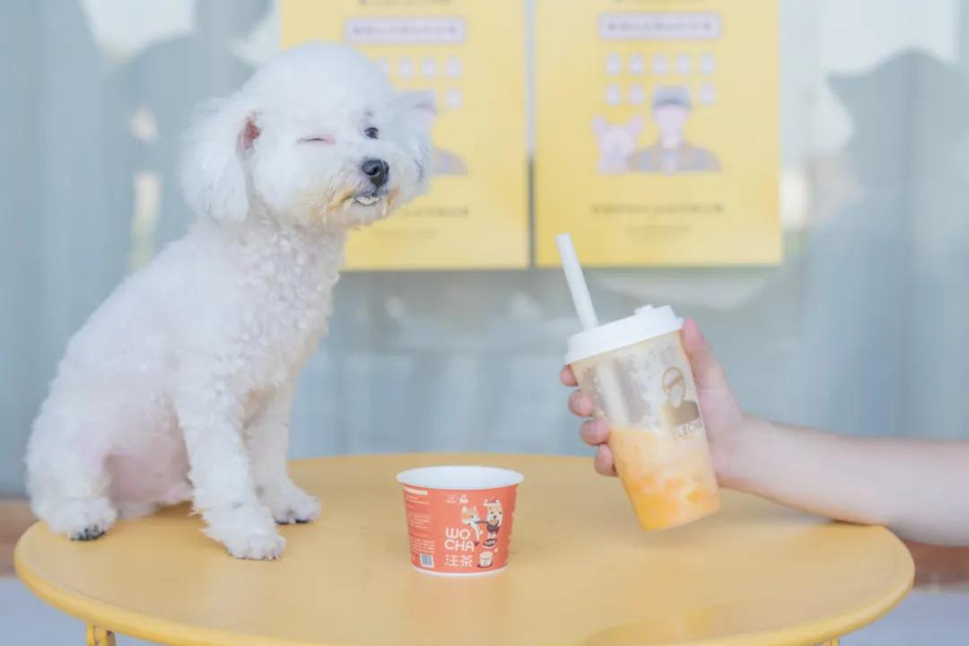 你的生活和你的生意,我的生活就是我的财富