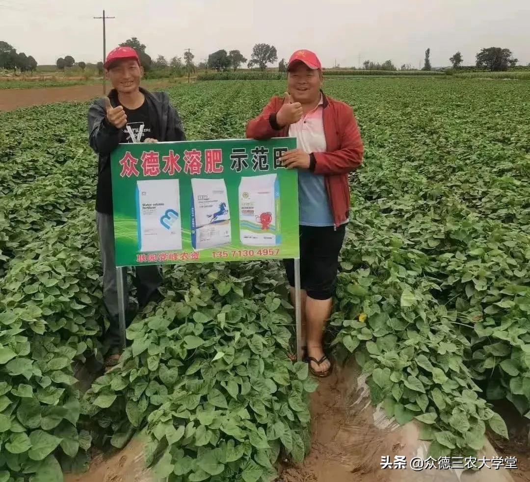 农资店微信推广,农资营销拓客引流策划方案