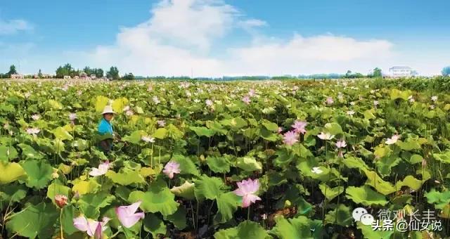 合肥北城还是长丰北城,合肥北城和肥西