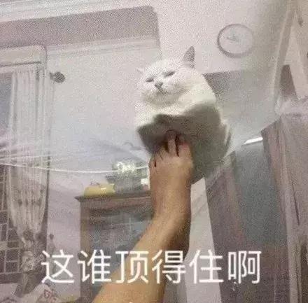 巷子屎水横流!不愿凑2万修理费,南海街坊宁可闻恶臭长达5年