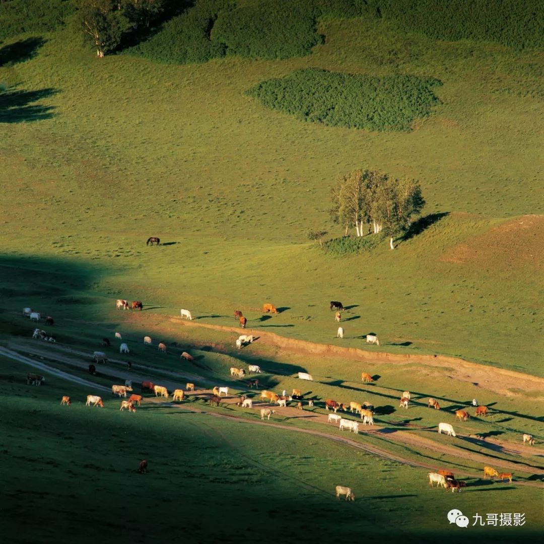 大美坝上草原全景,大美坝上风光系列之一