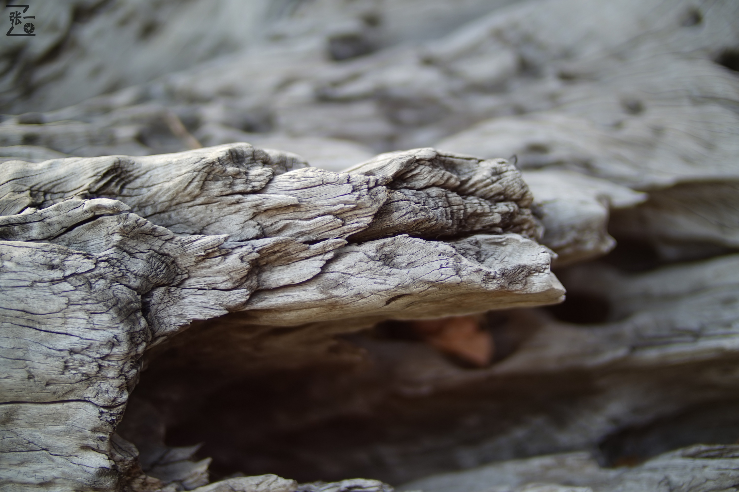 中国产微单,24-135镜头索尼