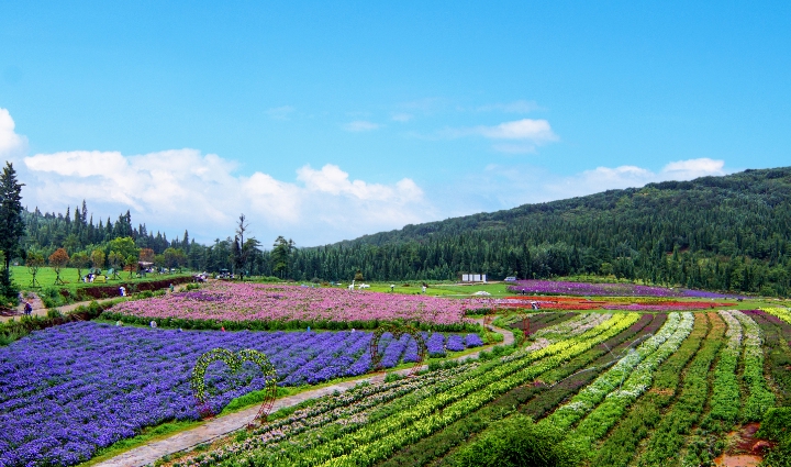 时评向新而行,时评缅怀逝者勇毅前行