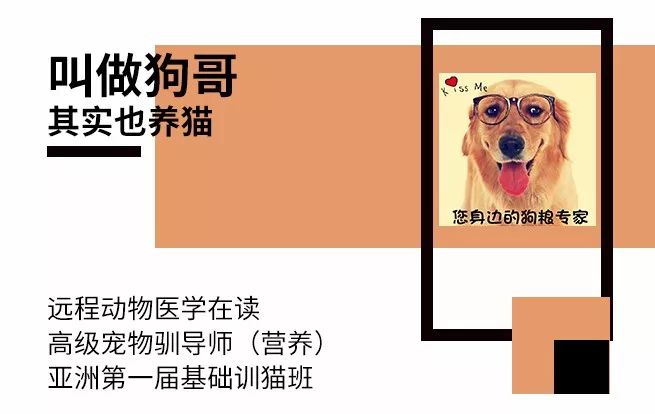 进口猫狗粮批文,进口猫粮查获假粮