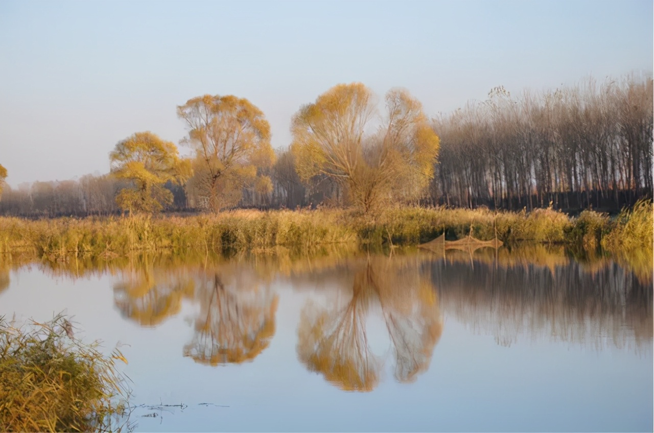 霸州踏青,霸州附近看花踏青好去处