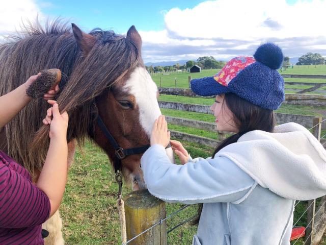 新西兰买车攻略,新西兰打工度假最新条件