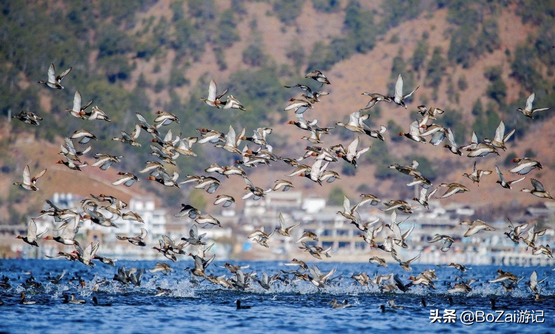 去云南丽江必游景点攻略,去云南丽江旅游必去景点
