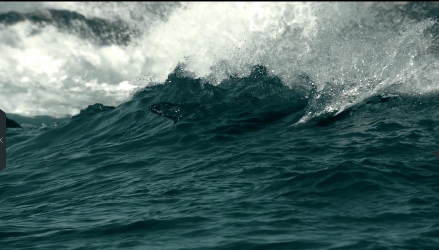 雷神之锤对战昊天锤究竟谁更强,雷神之锤世界纪录
