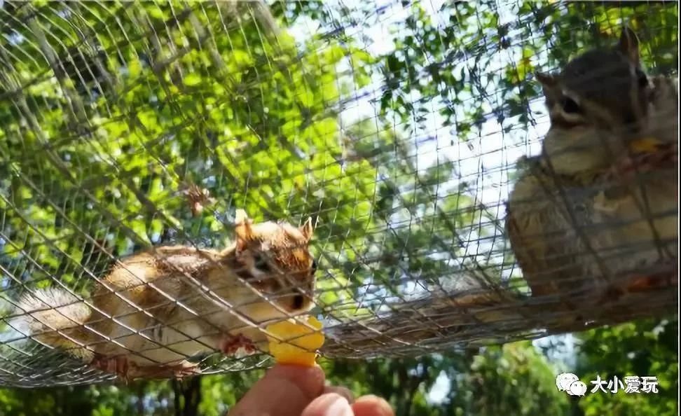 北京适合踏春旅游景点,北京春天看花的景点推荐