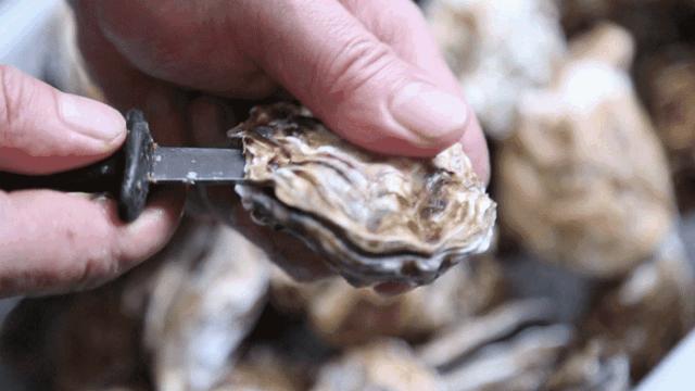 大光明自助生蚝,最真实的生蚝自助