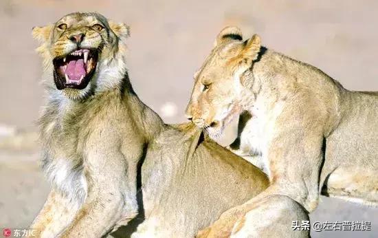 颈椎病疼痛缓解方法,颈椎病酸痛难忍怎么办