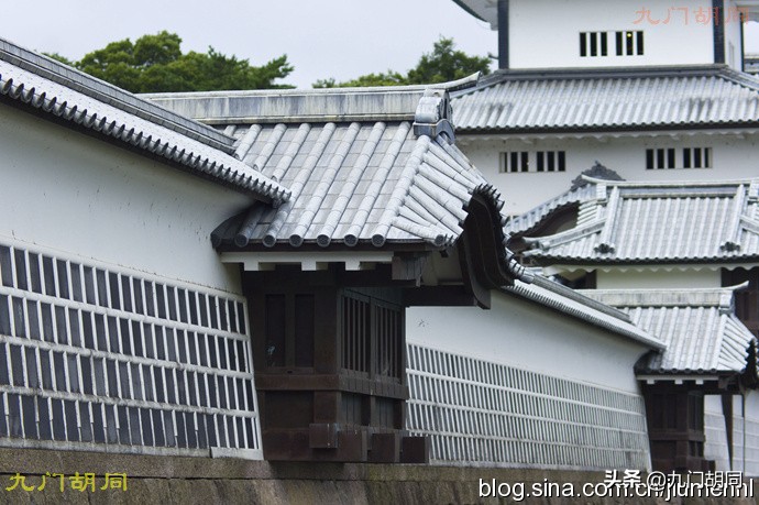 前田利家最新消息,前田利家和柴田胜家有什么关系