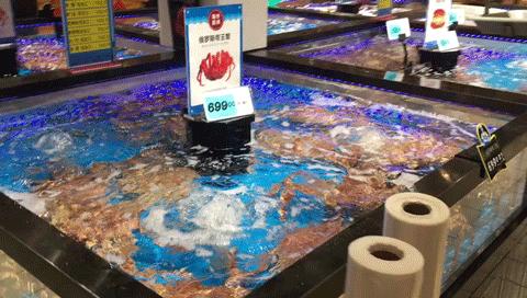 2万左右好物,2万精品好物