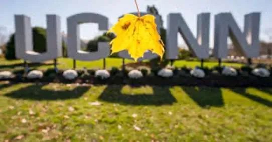 公立常春藤！强势美国体育名校——康涅狄格大学体育相关专业介绍