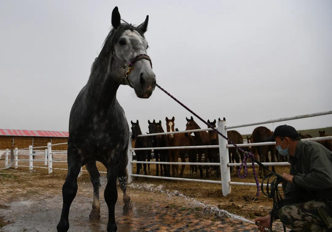 汉武帝被赐名叫什么,汉武帝赐名闻喜