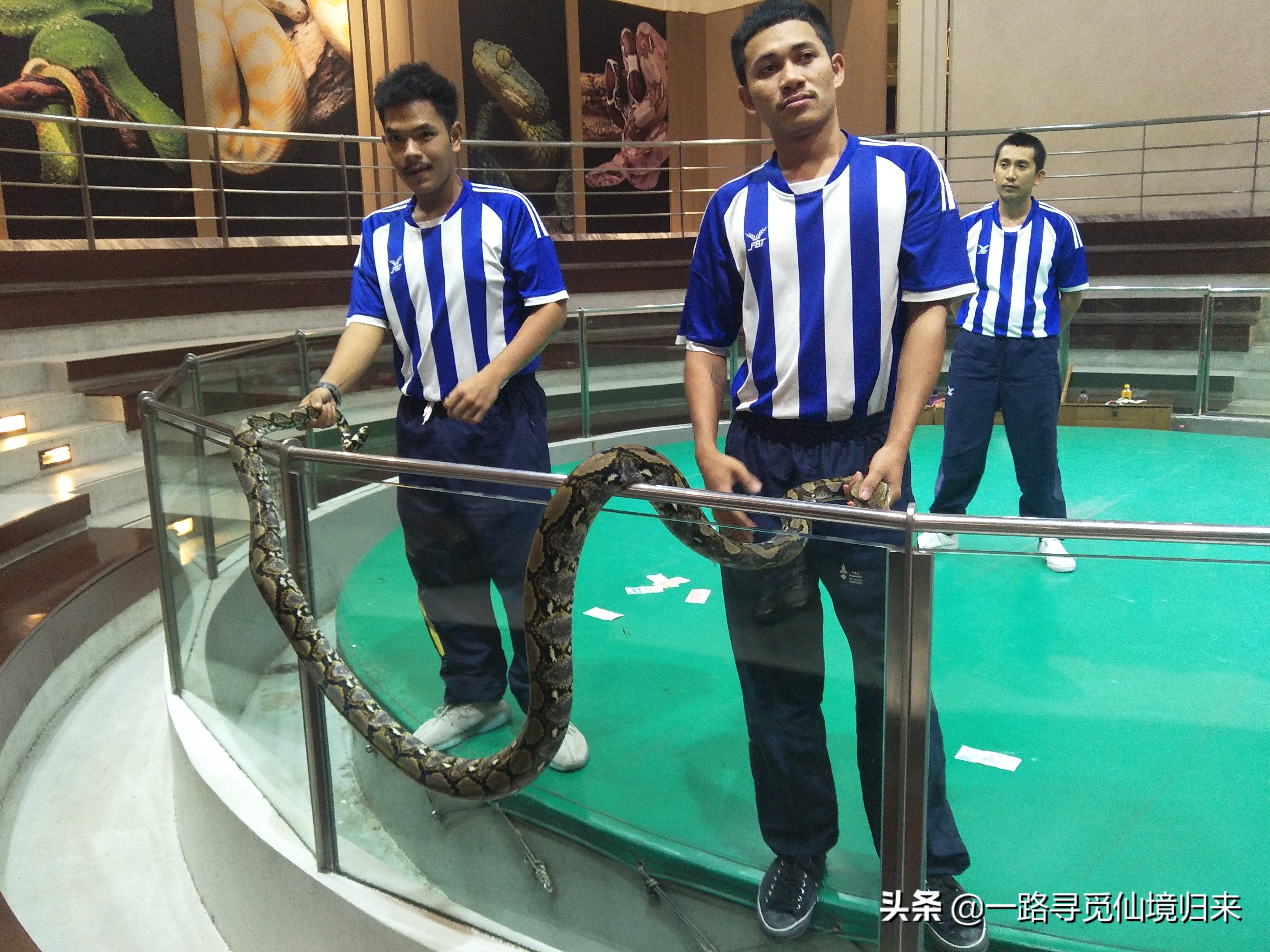 刷哇滴卡泰国版,刷哇滴卡