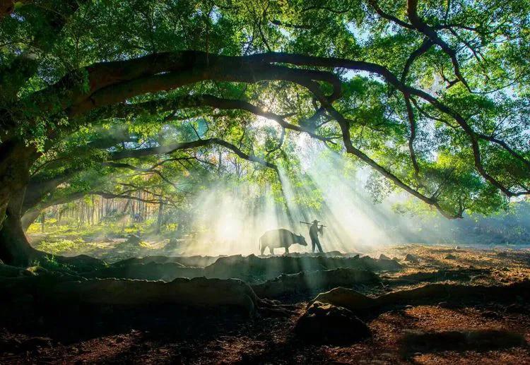 霞浦滩涂光影摄影作品,霞浦摄影风光