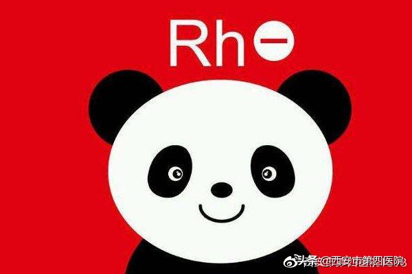 专家科普熊猫,熊猫家族科普