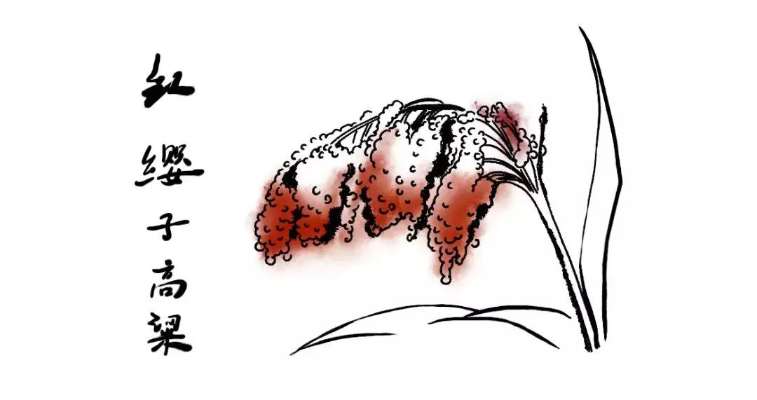 一文读懂中国史,白酒版图