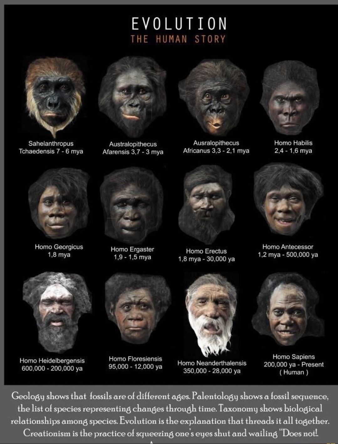 存在上亿年的虱子为何突然不见了,虱子灭绝了为什么消失不见了