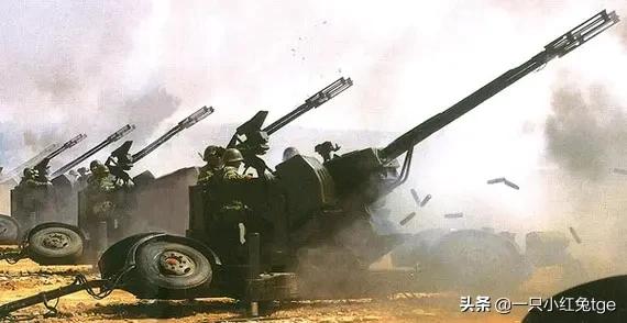 那些年给兔子整装备的西方国家「4」:瑞士