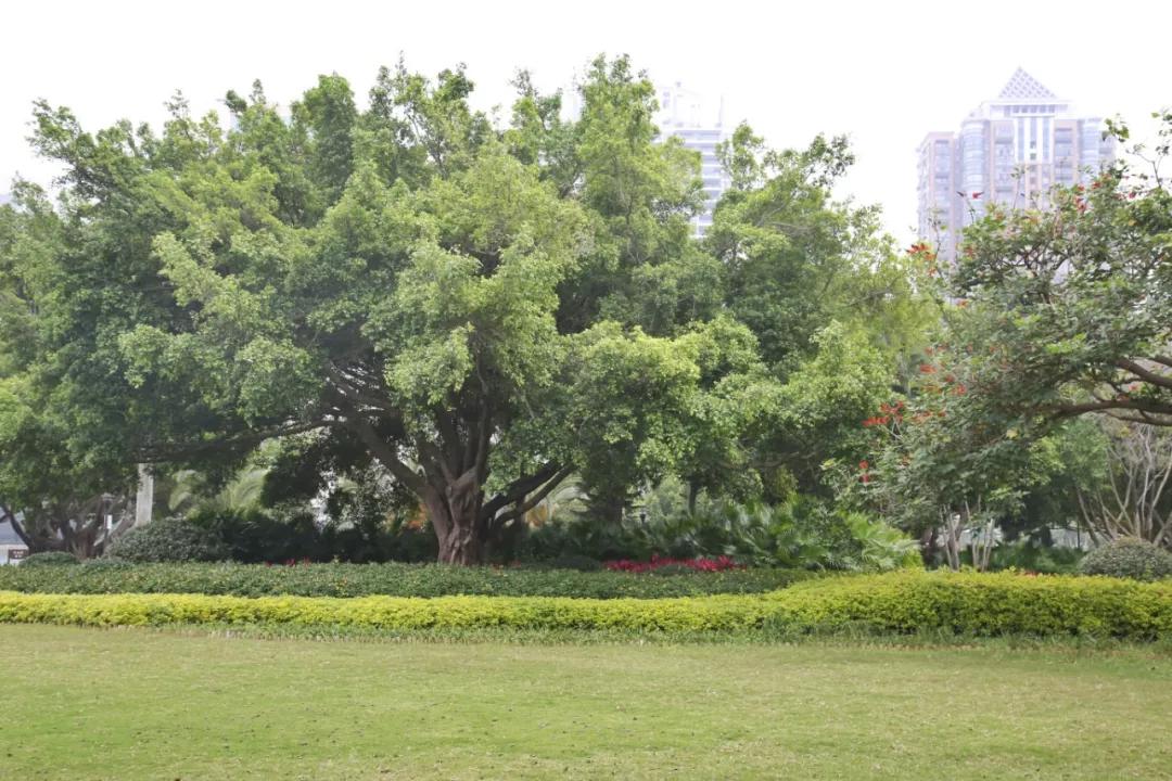 去厦门吹海风,来去厦门观光享受清凉的海风