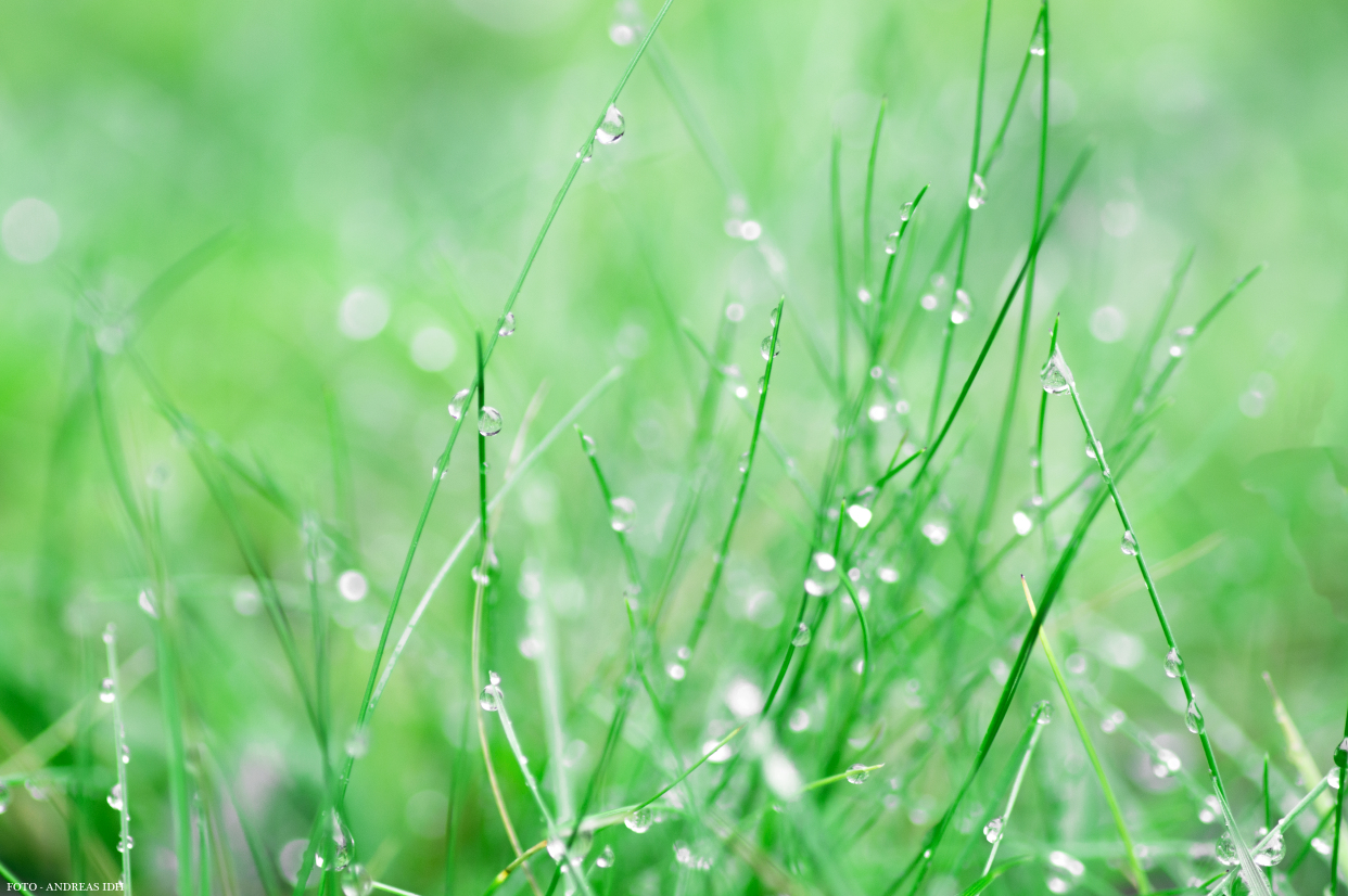 面对自作多情的人,面对多情的男人