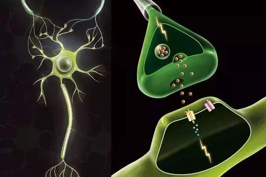 臭氧血疗法对脑梗有用吗,臭氧疗法脑梗塞