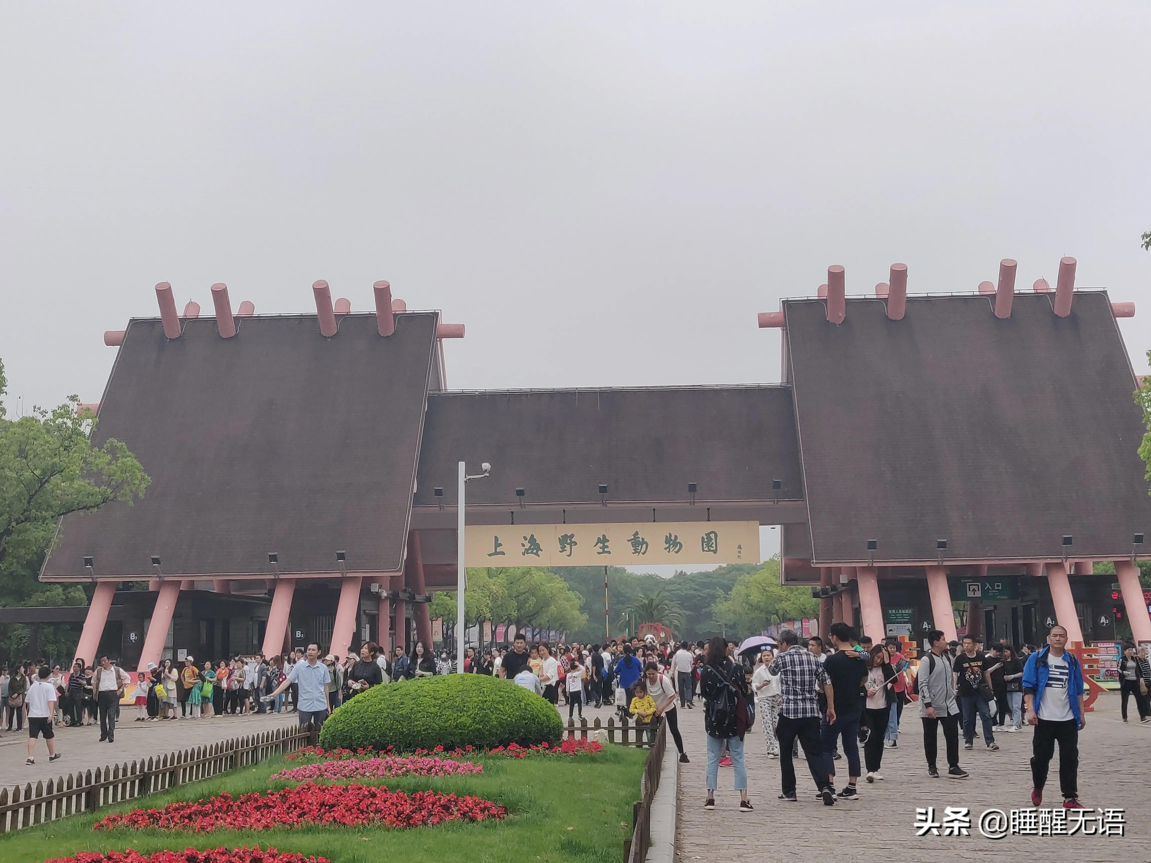 上海浦东森林野生动物园,上海野生动物园65岁以上免票吗