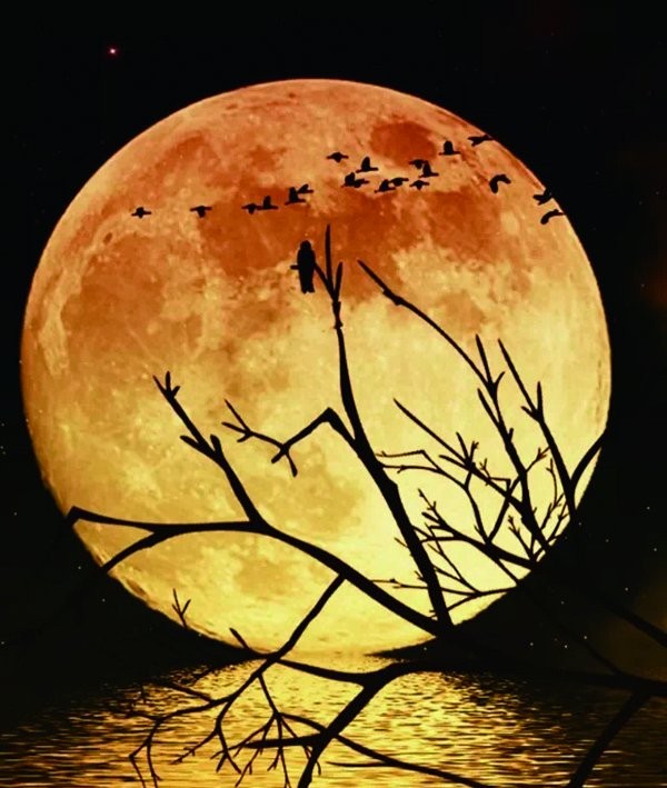 苏东坡为什么一直过中秋节,苏东坡与中秋节