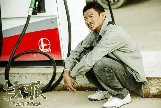 失孤原型找到儿子小孩结婚,失孤原型终于找到儿子完整版