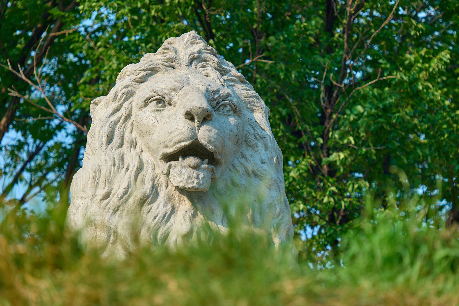 适马sigma60-600mm拍月亮,适马sigma18-50mmf2.8dcdn测评