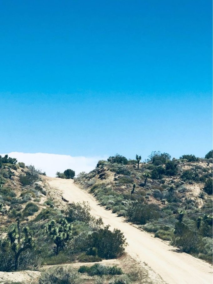 美国洛杉矶旅游七日游费用,去美国洛杉矶15天的旅游行程