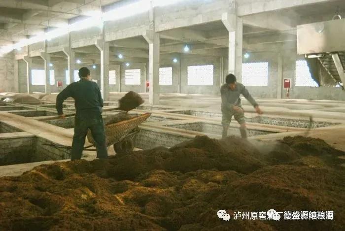 九龙醉38度浓香型白酒,五星级白酒浓香型52度