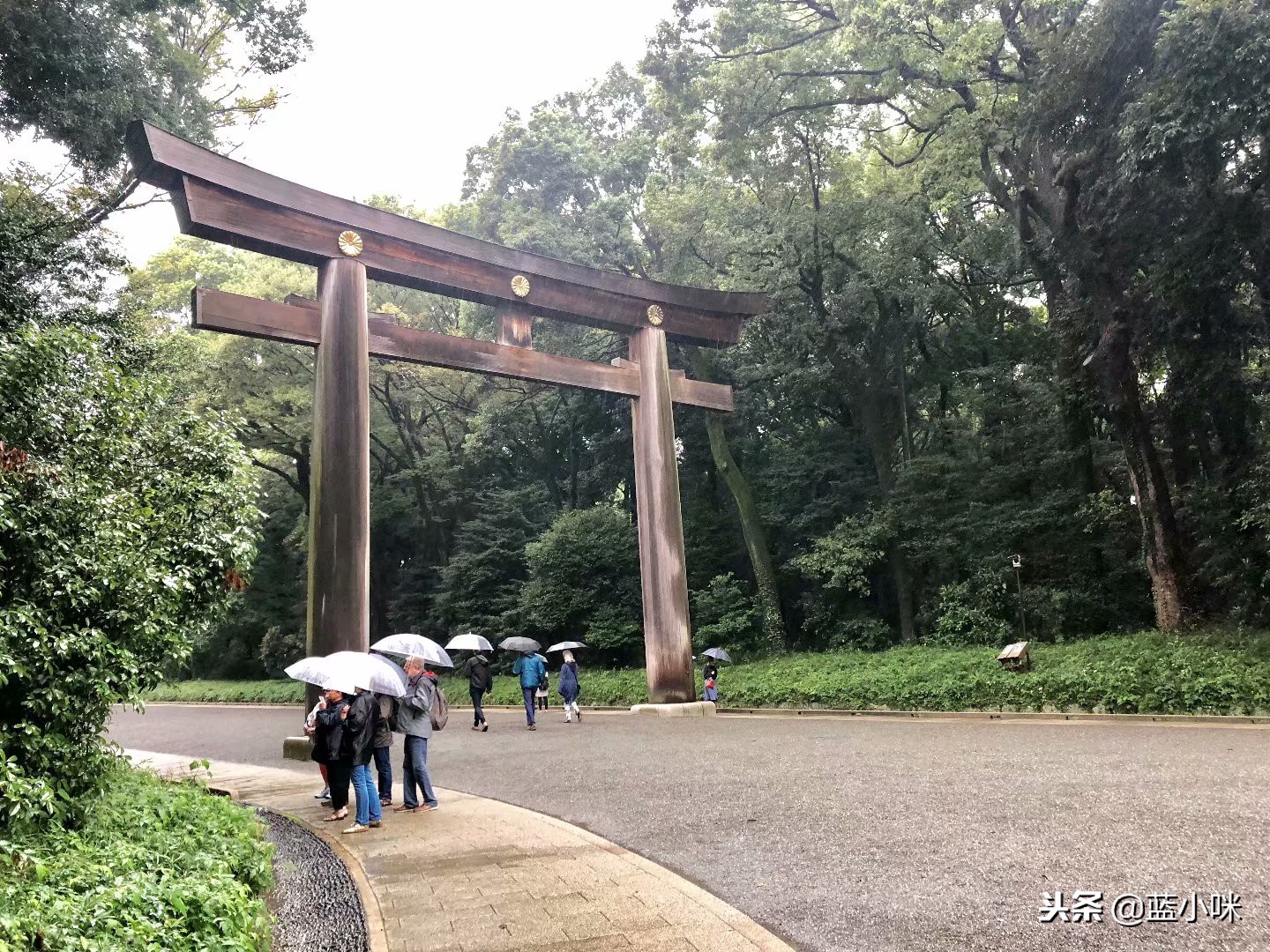 日本自由行7天看富士山,东京自由行攻略东京富士山自由行