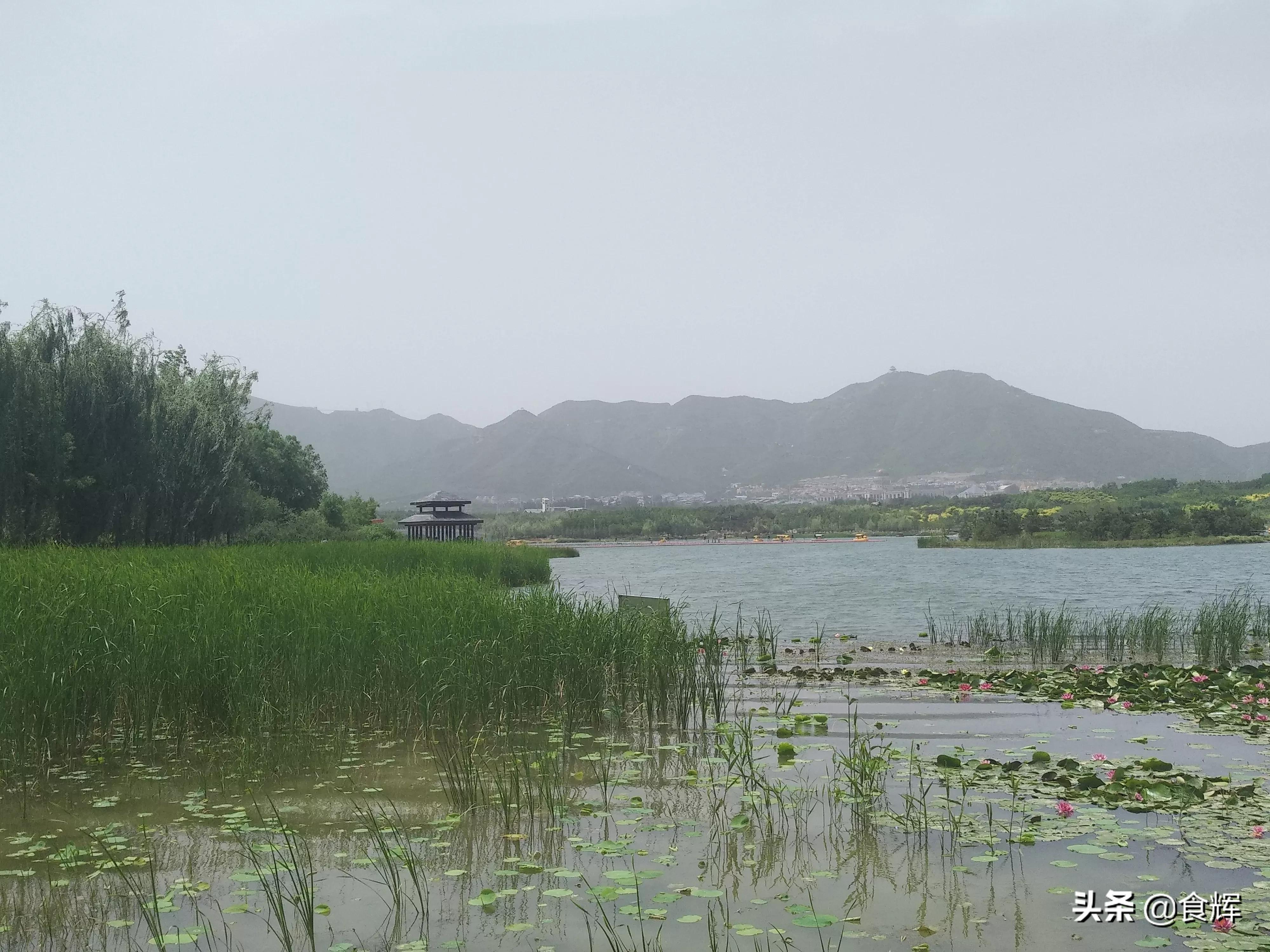 哪些事是到了山西才知道的,鹿泉那些事