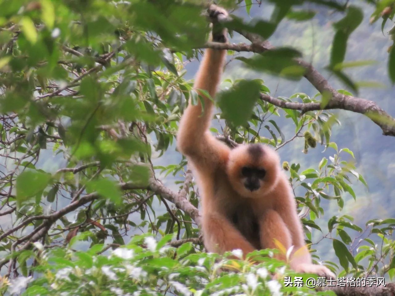 海南最便宜的养老小镇,海南被低估的县